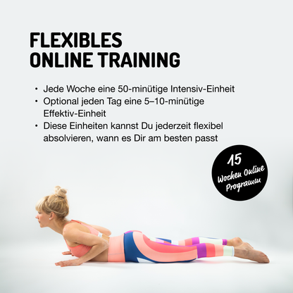 *Absolut fit PILATES und funktionelles Kräftigungstraining (Online Kurs und Online Seminar)