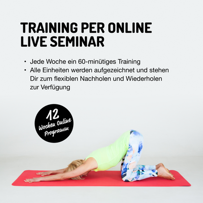 *Absolut fit Funktionelles Krafttraining RÜCKEN PLUS (12 Wochen Online Seminar)